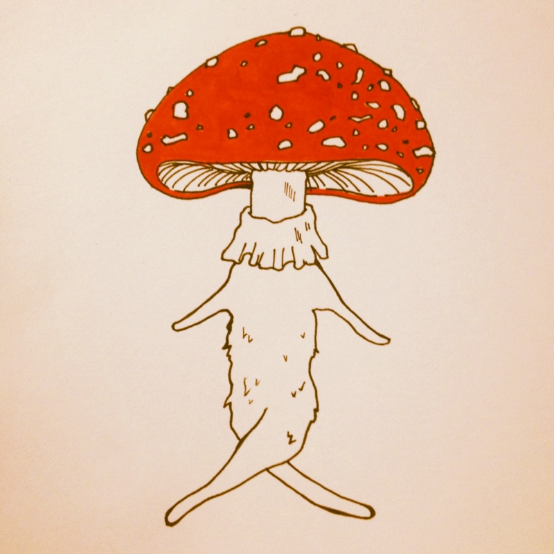 f:id:nemunoki-letter:20130204171411j:image