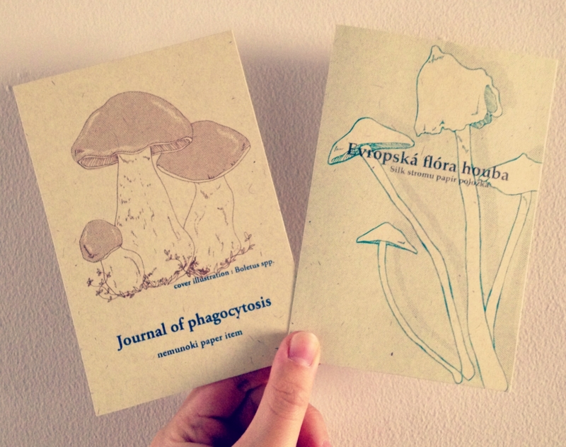 f:id:nemunoki-letter:20130515171946j:image f:id:nemunoki-letter:20130515171946j:image