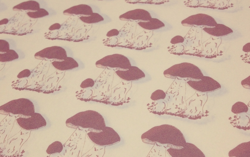 f:id:nemunoki-letter:20130921003522j:image f:id:nemunoki-letter:20130921003522j:image