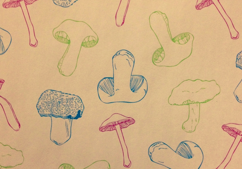 f:id:nemunoki-letter:20130921003543j:image f:id:nemunoki-letter:20130921003543j:image