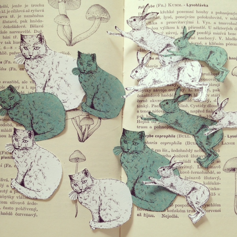 f:id:nemunoki-letter:20140905091717j:image f:id:nemunoki-letter:20140905091717j:image