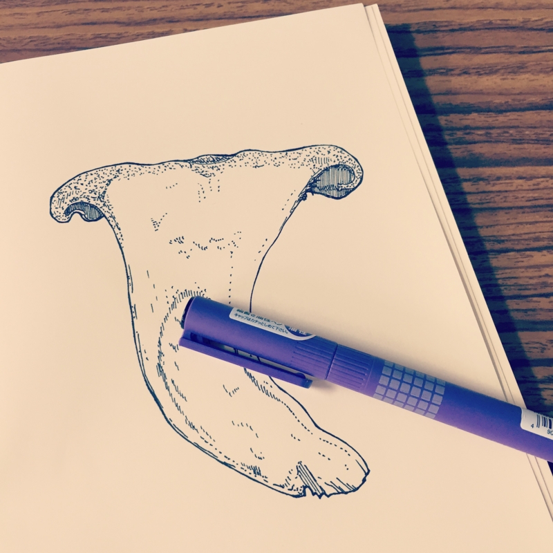 f:id:nemunoki-letter:20150426233239j:image f:id:nemunoki-letter:20150426233239j:image