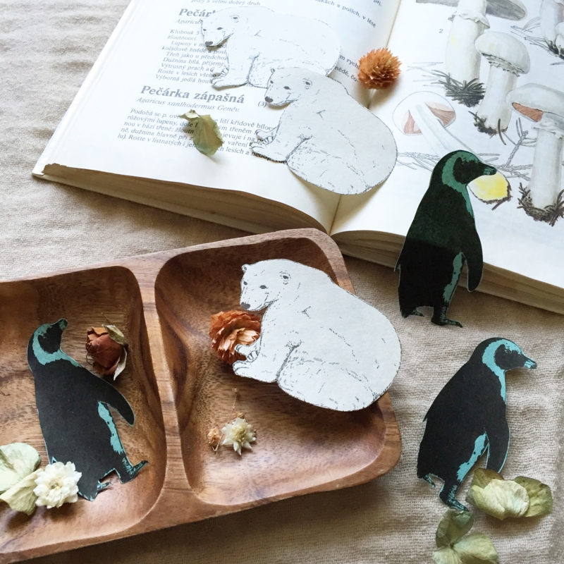 f:id:nemunoki-letter:20150605091722j:image