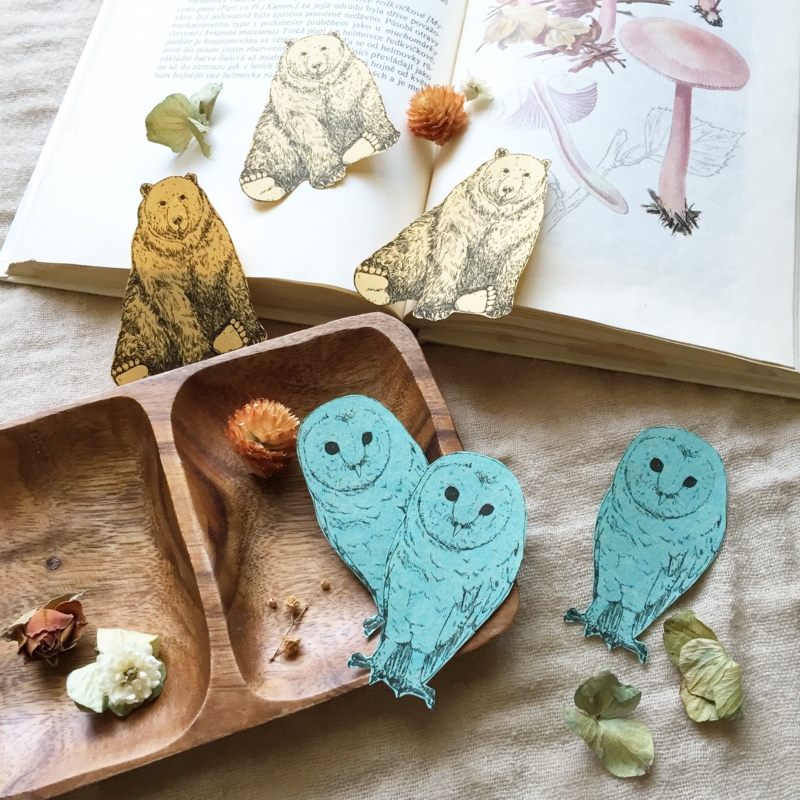 f:id:nemunoki-letter:20150605091734j:image