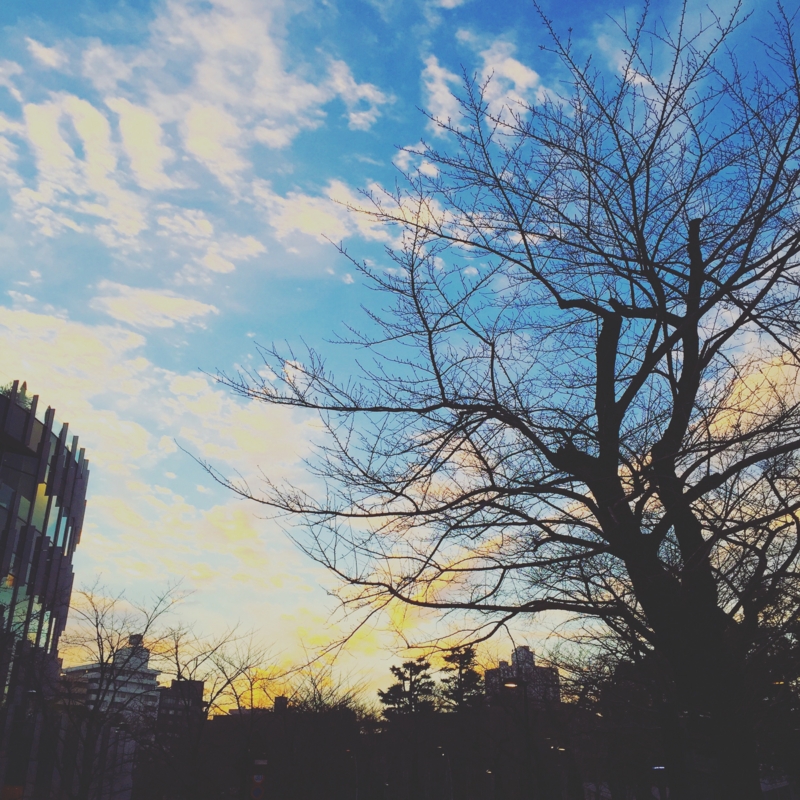 f:id:nemunoki-letter:20160103162657j:image