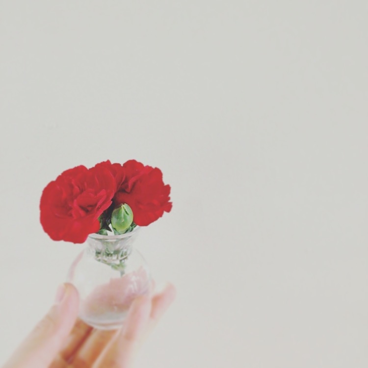 f:id:nemunoki-letter:20160508042814j:image f:id:nemunoki-letter:20160508042814j:image