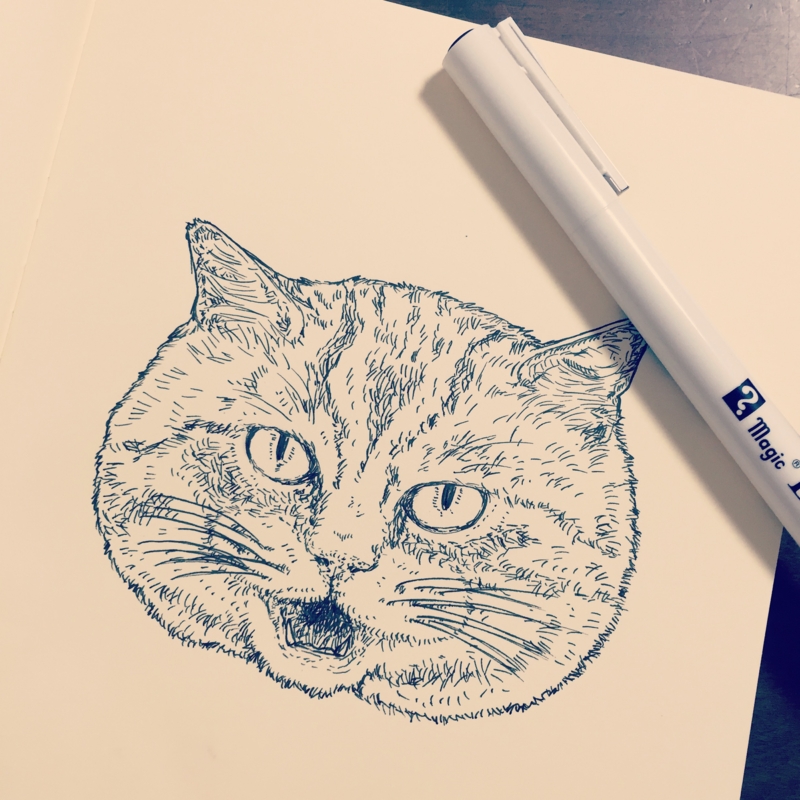 f:id:nemunoki-letter:20160510080633j:image