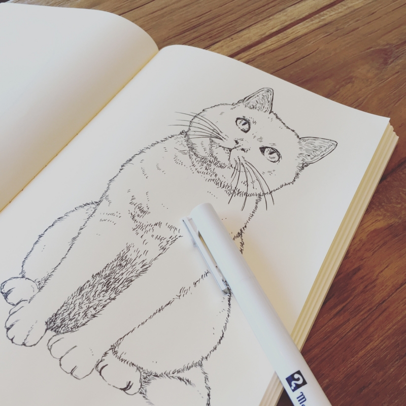 f:id:nemunoki-letter:20160707231946j:image f:id:nemunoki-letter:20160707231946j:image