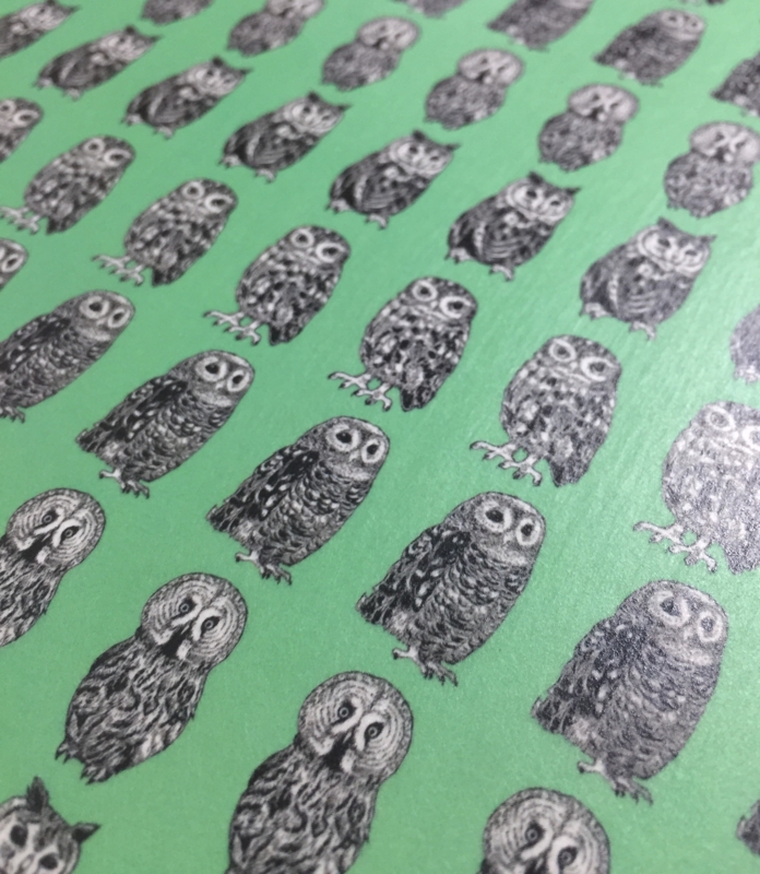 f:id:nemunoki-letter:20160912081508j:image f:id:nemunoki-letter:20160912081508j:image