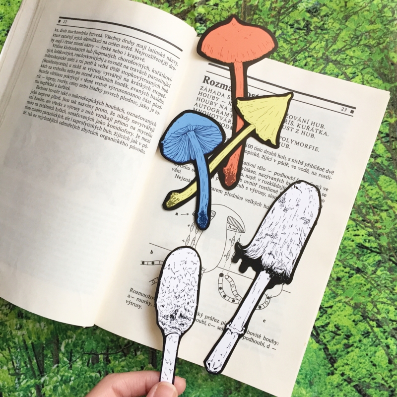 f:id:nemunoki-letter:20161024161539j:image