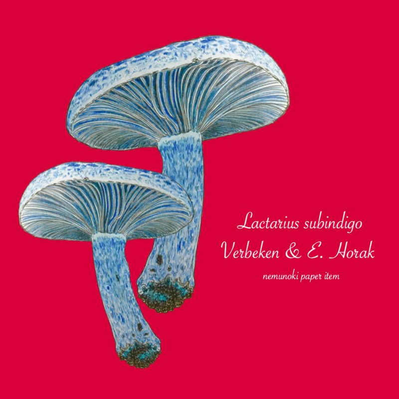 f:id:nemunoki-letter:20170611210955j:image