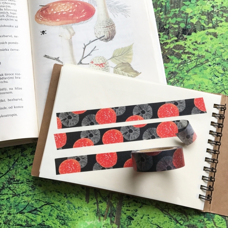 f:id:nemunoki-letter:20170802085743j:image