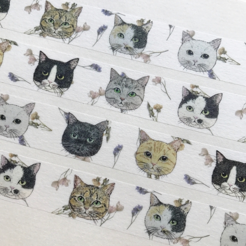 f:id:nemunoki-letter:20170802092829j:image