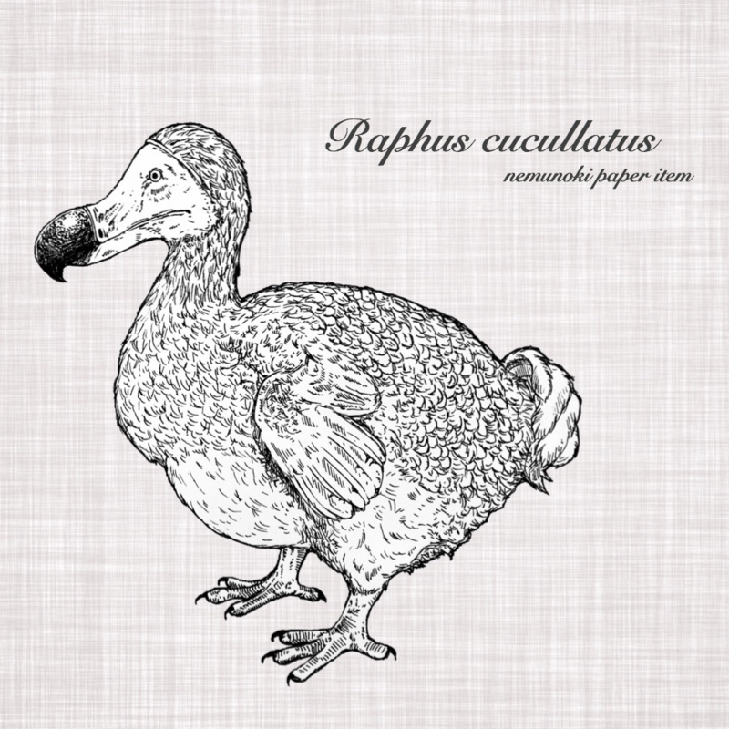 f:id:nemunoki-letter:20170830105330j:image