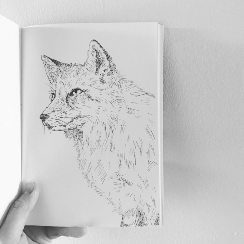 f:id:nemunoki-letter:20171004104756j:image