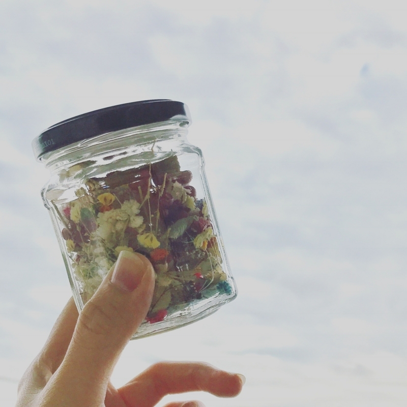 f:id:nemunoki-letter:20171024151714j:image