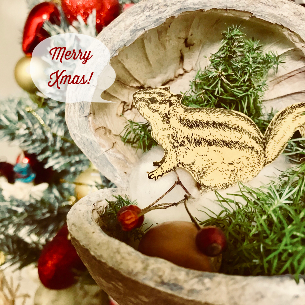 f:id:nemunoki-letter:20171224204725j:plain