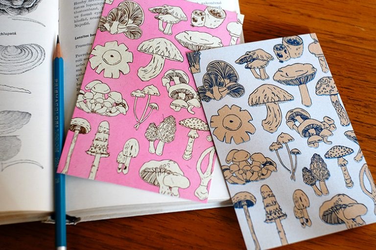 f:id:nemunoki-letter:20180430154426j:plain