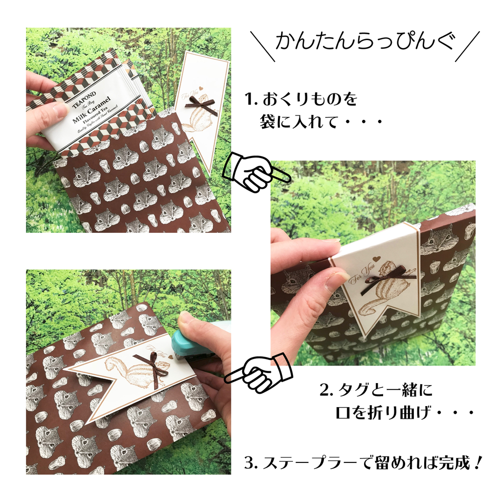 f:id:nemunoki-letter:20190204164018j:plain