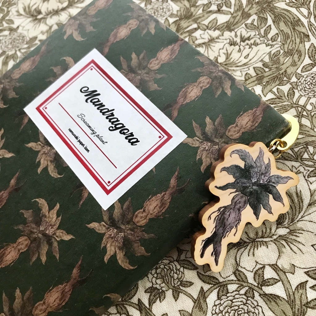 f:id:nemunoki-letter:20190304131010j:plain