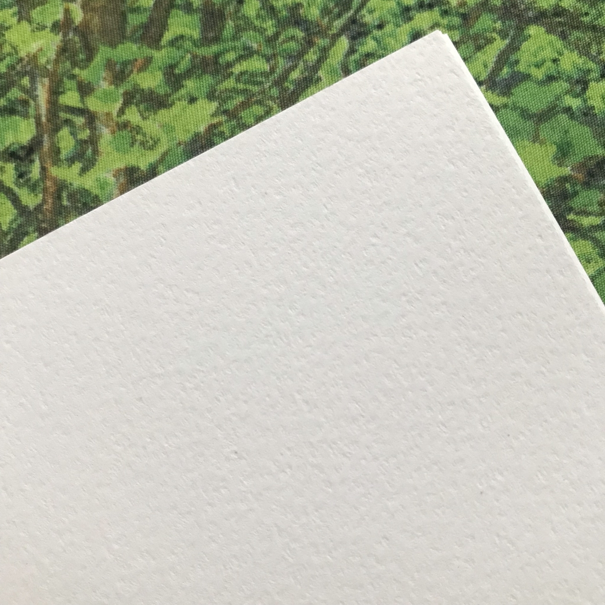 f:id:nemunoki-letter:20190329101416j:plain f:id:nemunoki-letter:20190329101416j:plain