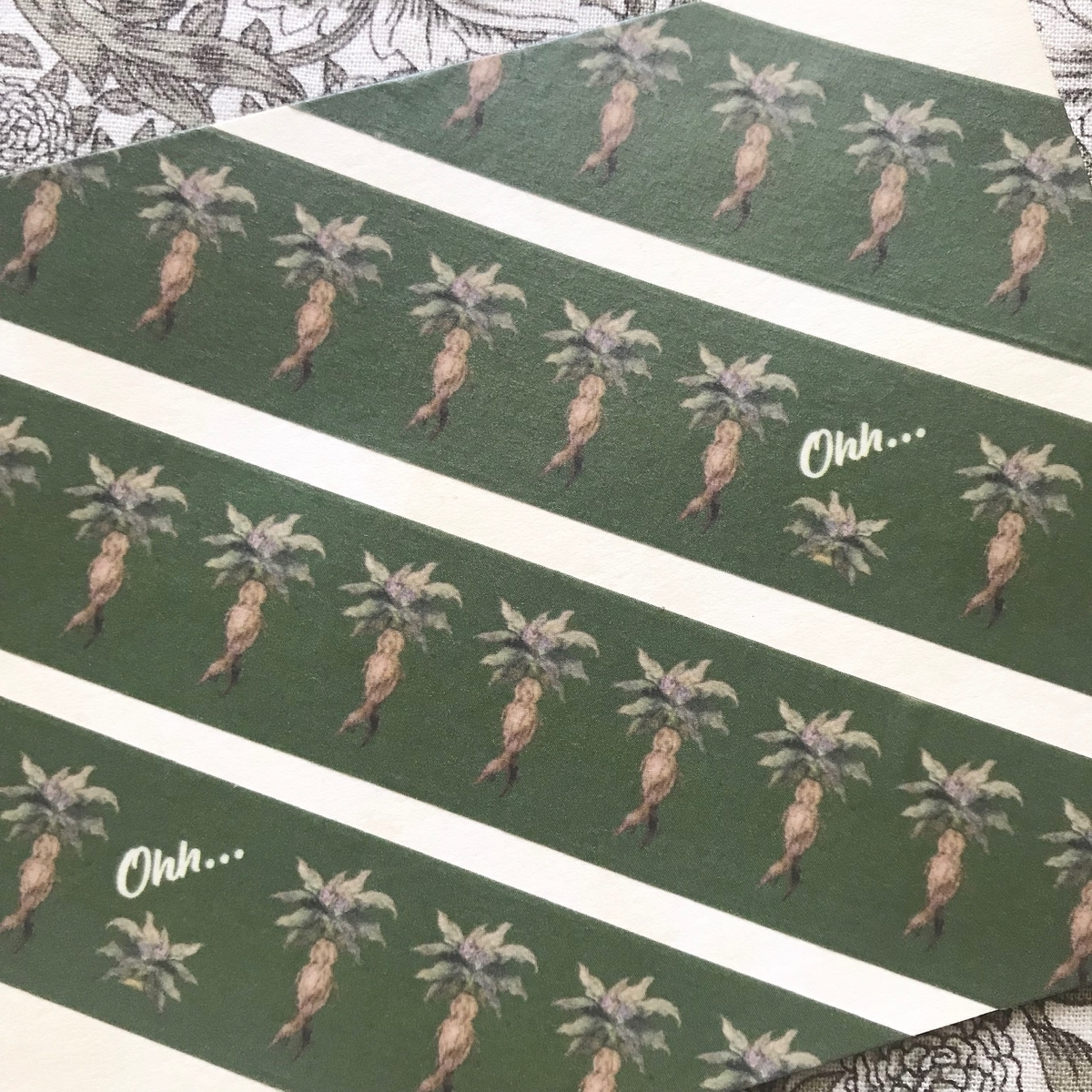 f:id:nemunoki-letter:20190626115626j:plain