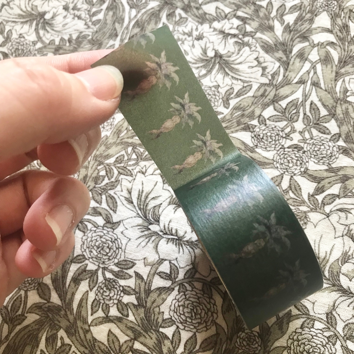 f:id:nemunoki-letter:20190626115700j:plain