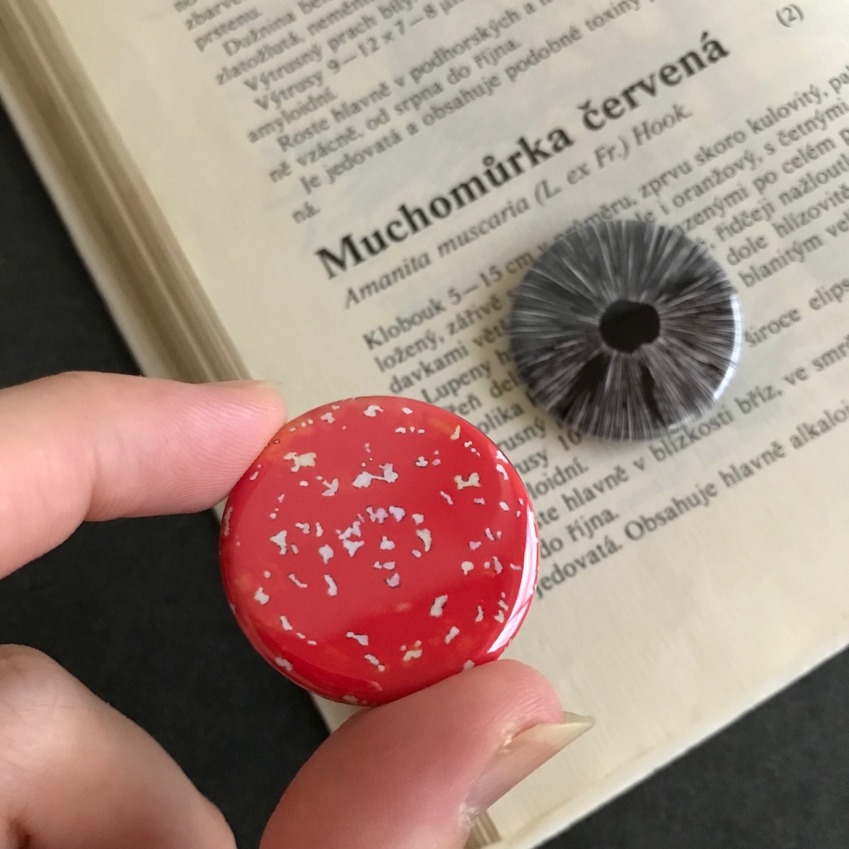 f:id:nemunoki-letter:20190809165552j:plain