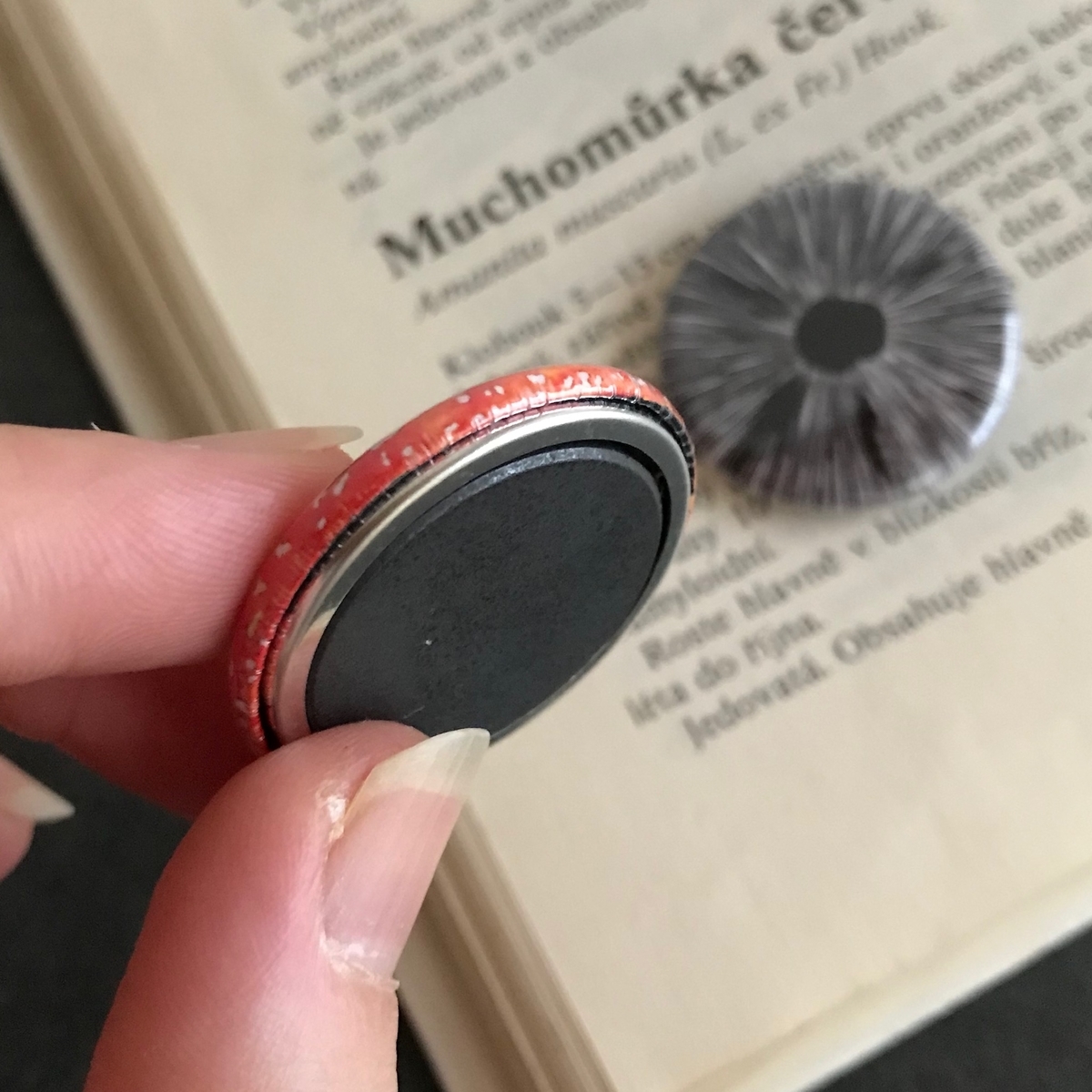 f:id:nemunoki-letter:20190809165634j:plain