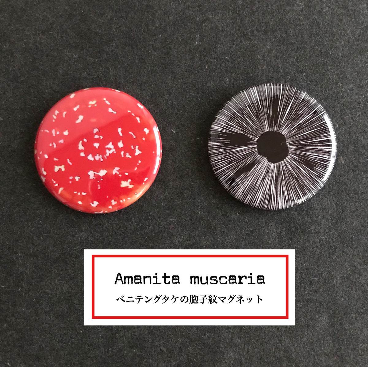 f:id:nemunoki-letter:20190809165727j:plain