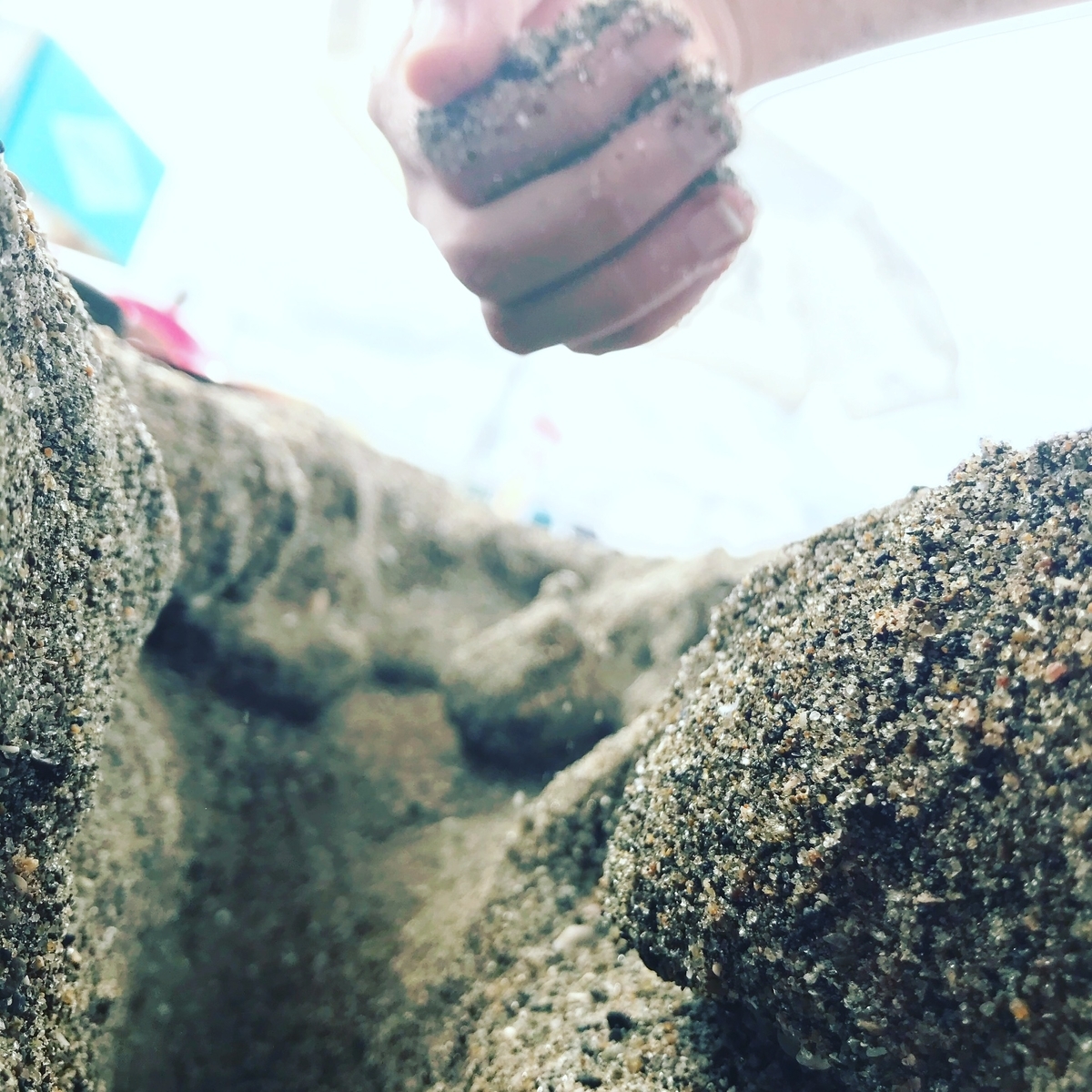 f:id:nemunoki-letter:20190812141820j:plain