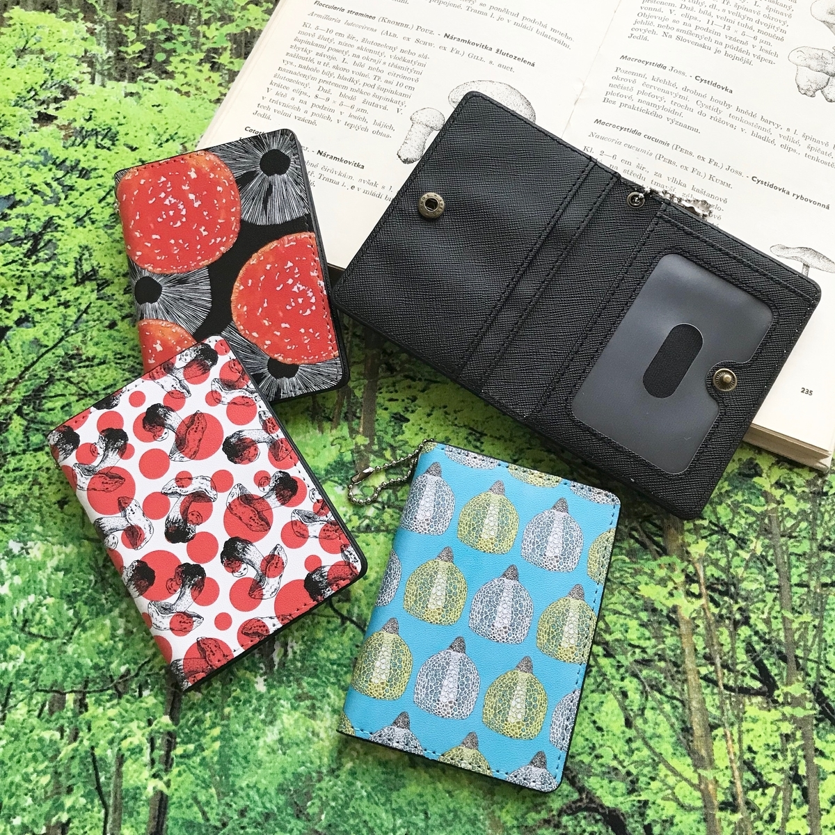 f:id:nemunoki-letter:20190817125548j:plain