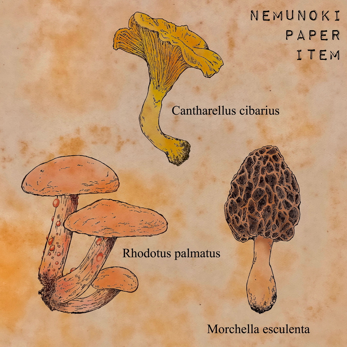 f:id:nemunoki-letter:20191021224057j:plain
