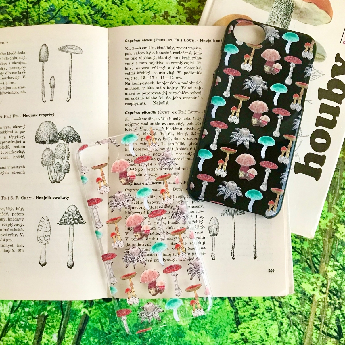 f:id:nemunoki-letter:20191112155029j:plain