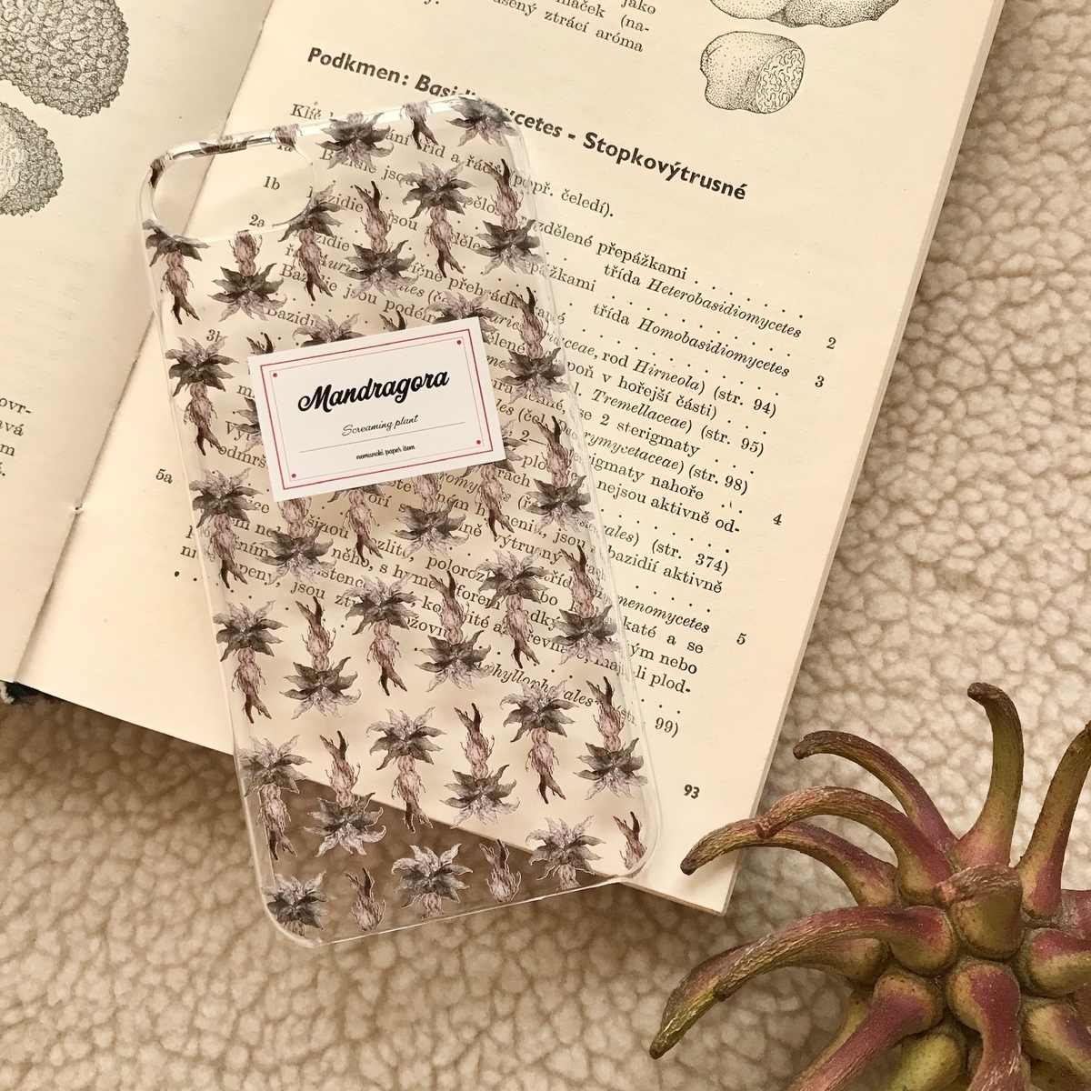 f:id:nemunoki-letter:20191121153013j:plain f:id:nemunoki-letter:20191121153013j:plain