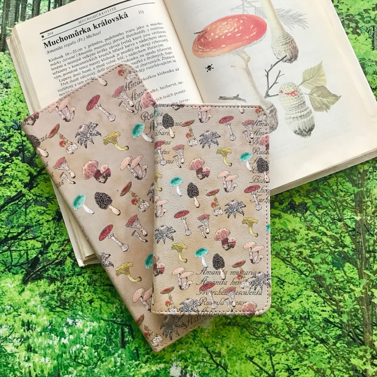 f:id:nemunoki-letter:20191213092029j:plain f:id:nemunoki-letter:20191213092029j:plain