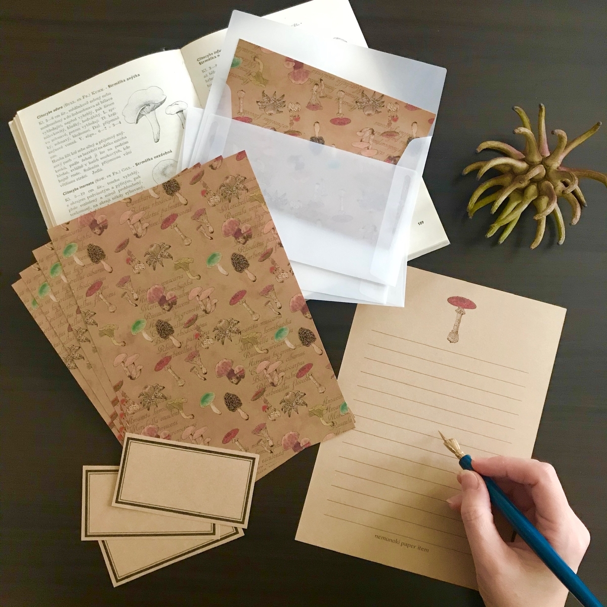 f:id:nemunoki-letter:20191213094232j:plain f:id:nemunoki-letter:20191213094232j:plain