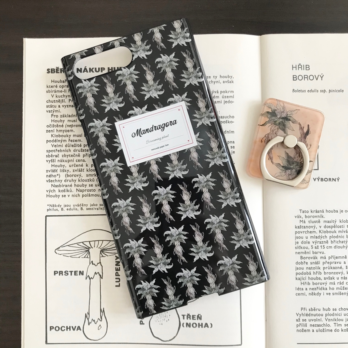 f:id:nemunoki-letter:20200502110604j:plain