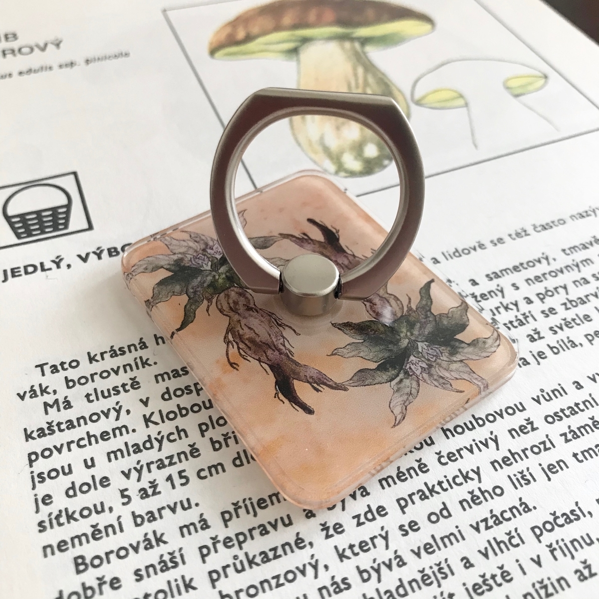 f:id:nemunoki-letter:20200502110630j:plain