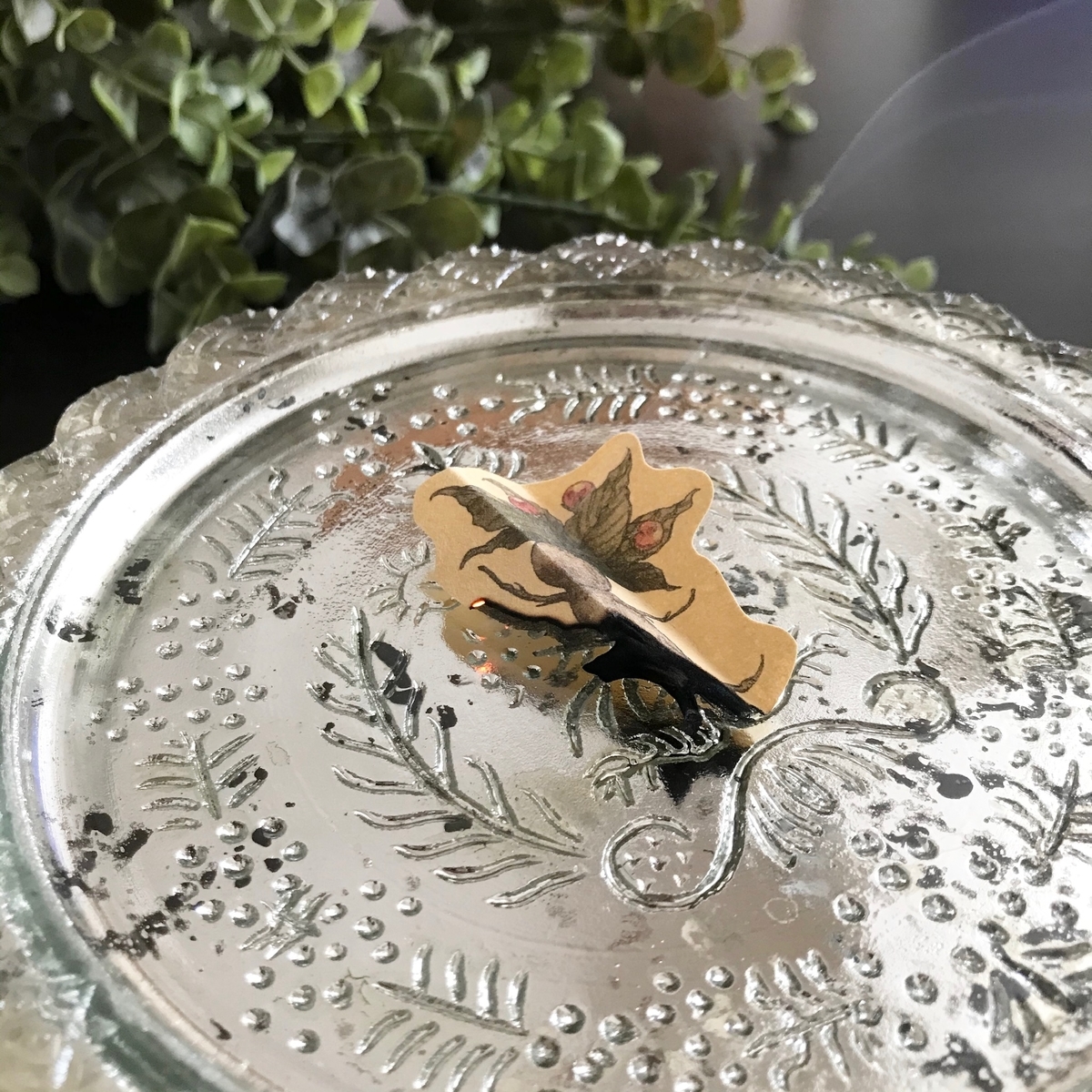 f:id:nemunoki-letter:20200528142820j:plain f:id:nemunoki-letter:20200528142820j:plain