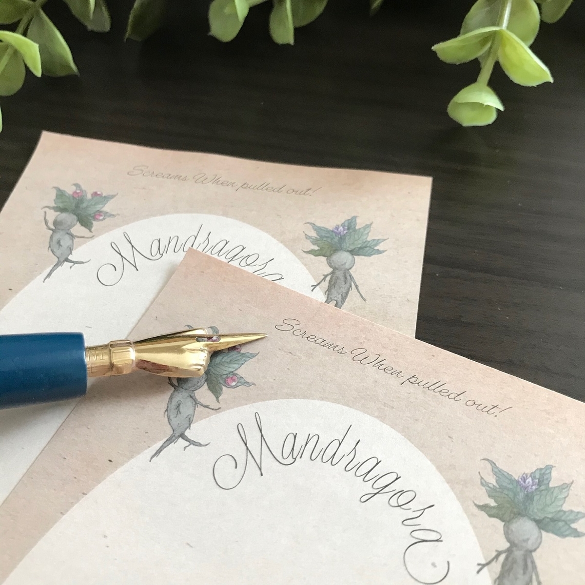 f:id:nemunoki-letter:20200602102345j:plain f:id:nemunoki-letter:20200602102345j:plain