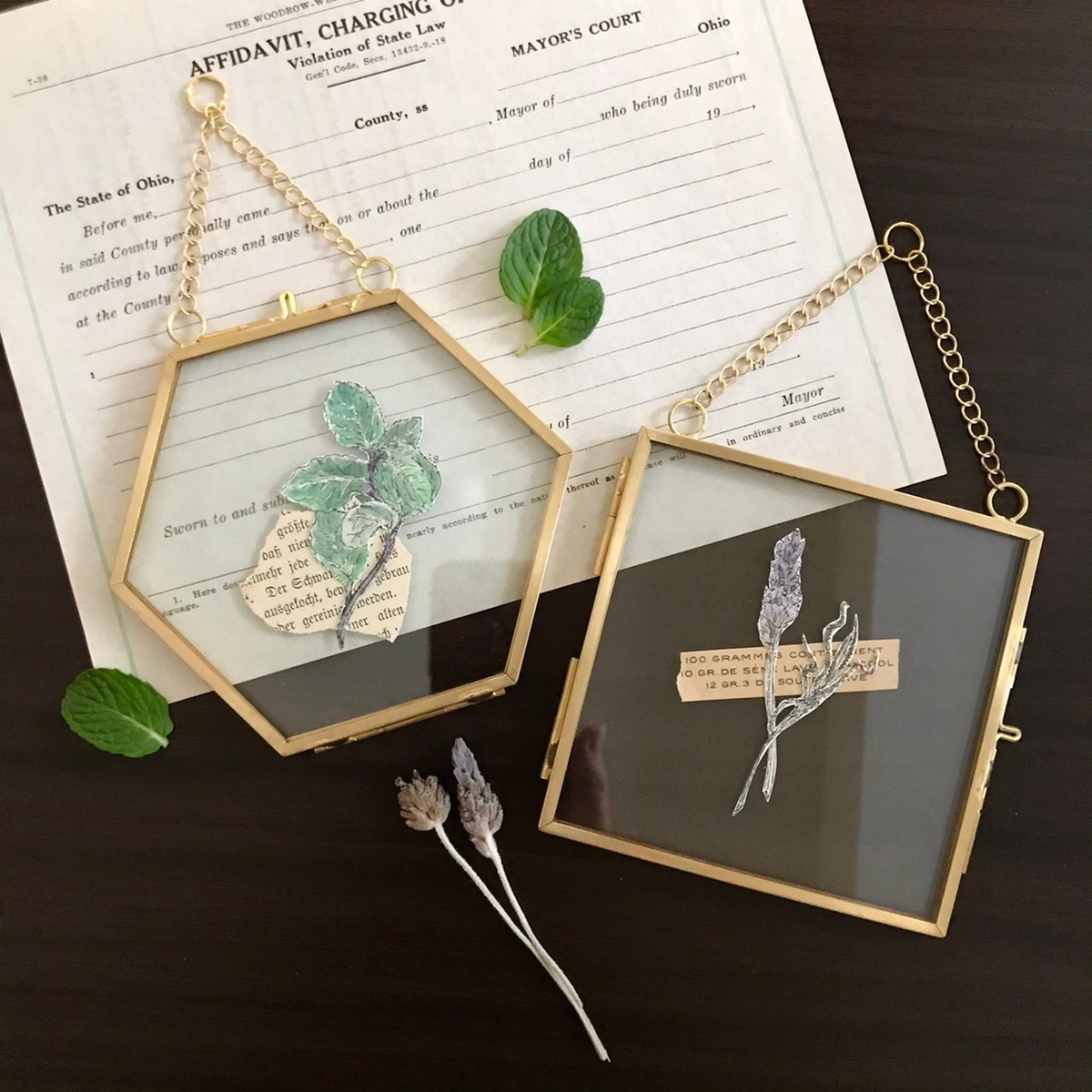 f:id:nemunoki-letter:20210308150733j:plain