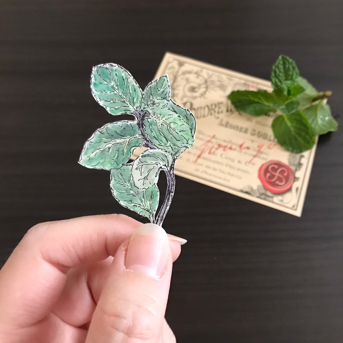 f:id:nemunoki-letter:20210308152307j:plain