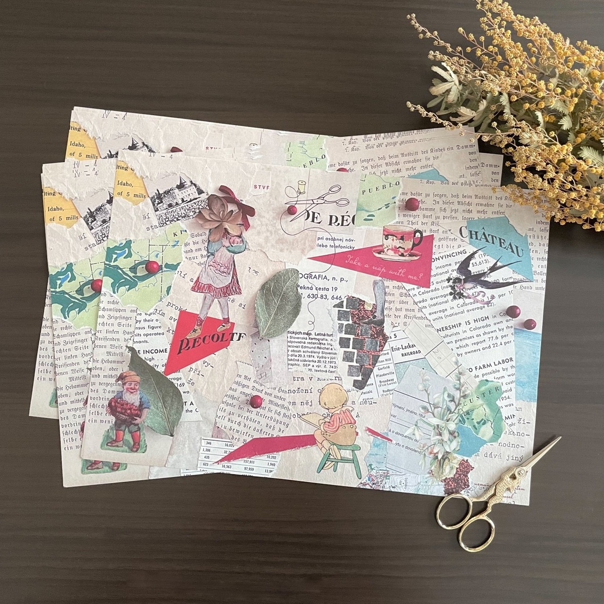 f:id:nemunoki-letter:20210616145540j:plain