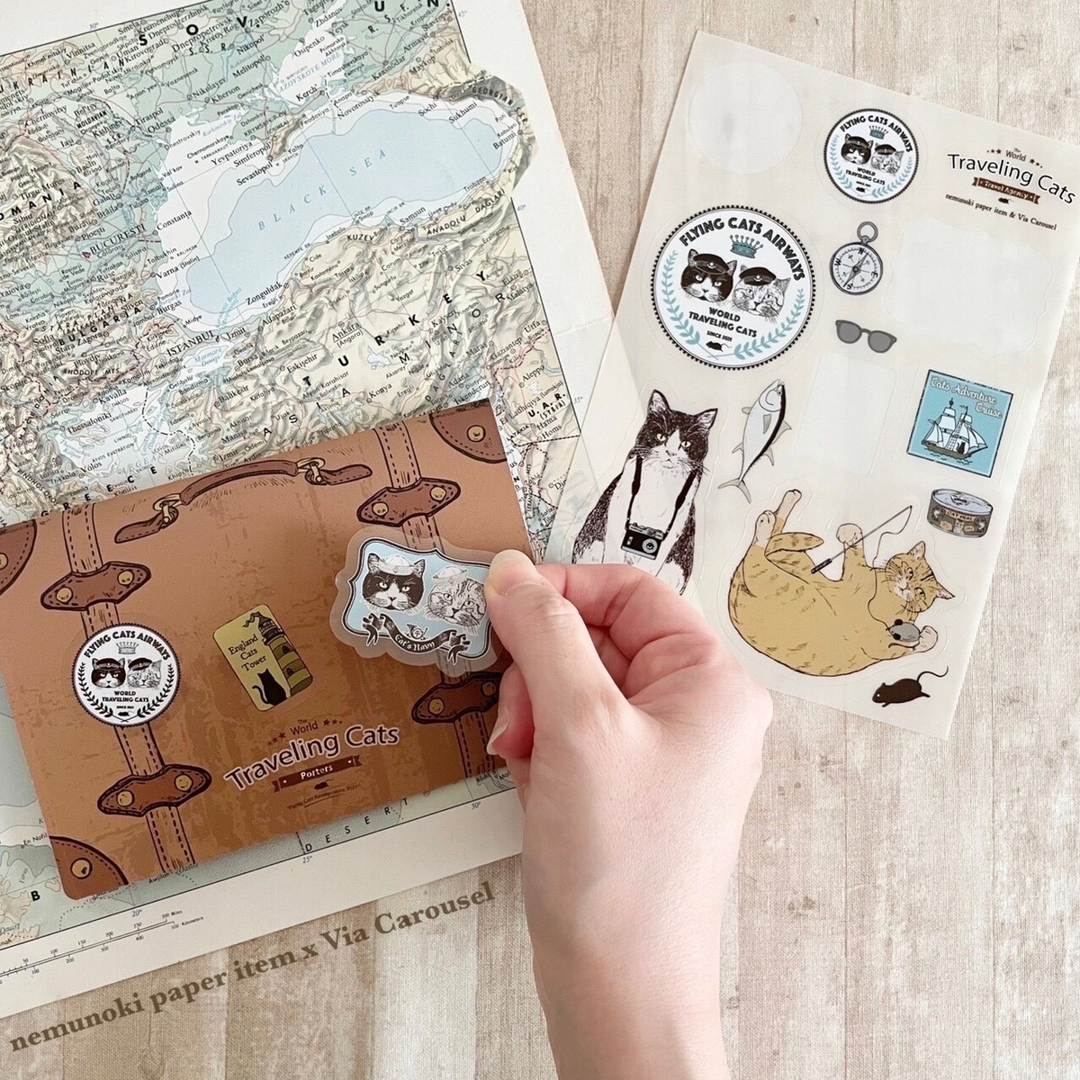 f:id:nemunoki-letter:20211017173532j:plain