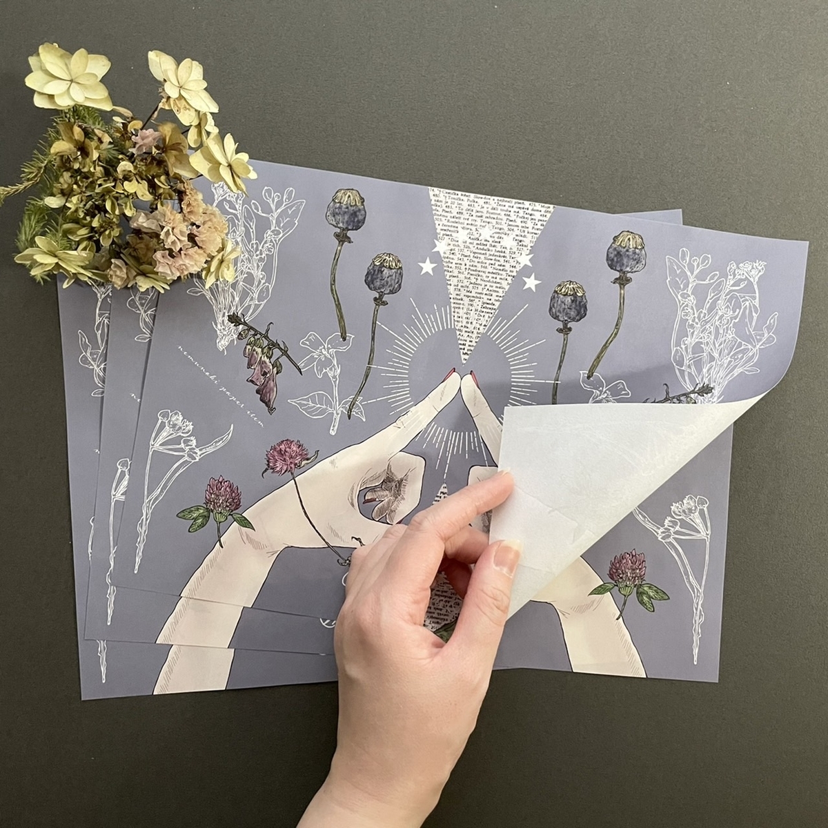 f:id:nemunoki-letter:20220311142523j:plain