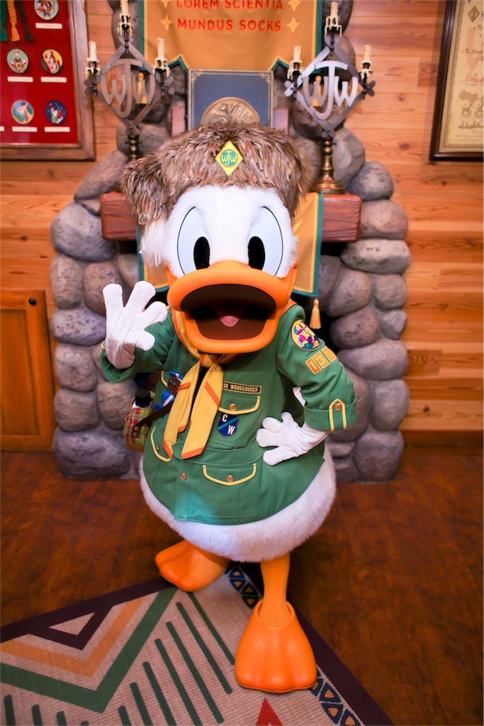 TDL】ウッドチャックでドナルドにご挨拶！2018年10月5日撮影(失敗