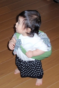 f:id:nemuzou:20111008213244j:image:left