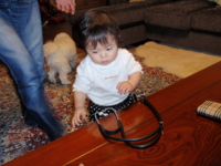 f:id:nemuzou:20111008213900j:image:left