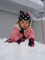 f:id:nemuzou:20111230113621j:image:left